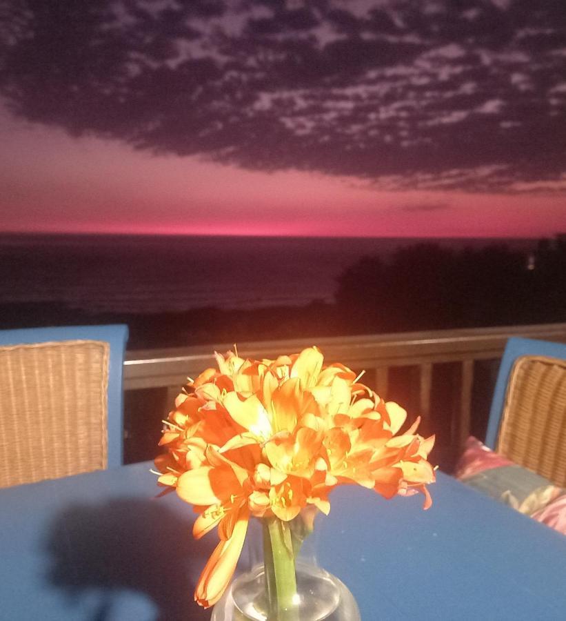 Mussel Beach Holiday Lets Apartman Fokváros Kültér fotó